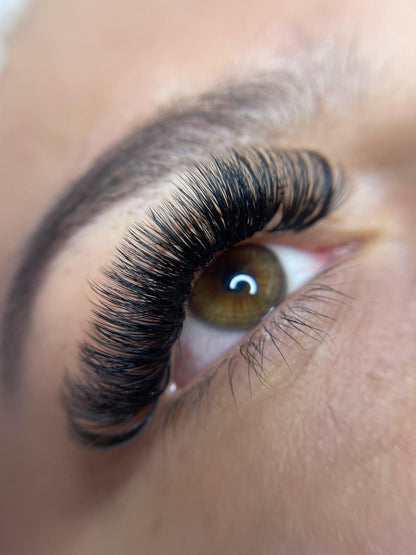5D Magnetic Lash Kit — Natural to Dramatic